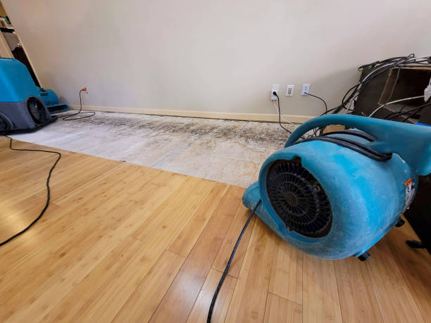 Professional Flood Damage Cleanup technician working in Ponsford, MN